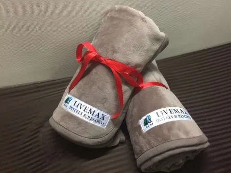 HOTEL LiVEMAX Hakata Nakasu