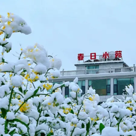 Luoping Chunri Xiaoyuan Homestay (Jinji Peak Cong Branch)