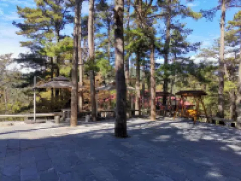 廬山雲起居別墅度假飯店（牯嶺鎮店）