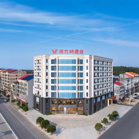 Vienna Hotel (Liuyang Shashi)