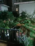 Crowne Hotel Hotels in FoCheng ShangDu