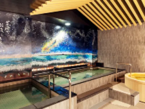 HOTEL GLOBAL VIEW NIIGATA Hotels in Niigata City