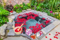 Tea Horse Garden Resort (Kunming Dianchi Xishan Scenic Area)