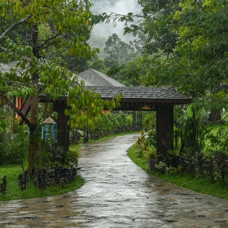 Cascade Tara