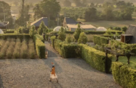 เดอะแคมเปี้ยน โรงแรมใกล้วัดถ้ำเชียงดาว