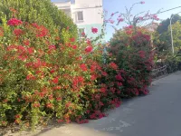 Beihai Yinhai District Village Homestay 홍수린&위엔보위엔 호텔