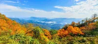 Hongya Hanyu Farm Stay (Wawu Mountain Scenic Area) - 2-Star