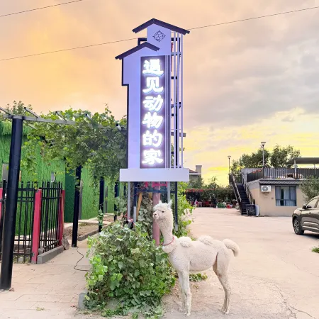Meet the animal homestay