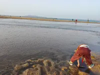 Haoyige Homestay (Hanlefang Weihai Railway Station) - Bãi biển