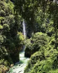Linju Design Hotel (Maling River Canyon Scenic Area) - Wifi