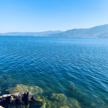 Fuxian Lake Ruiqi Inn