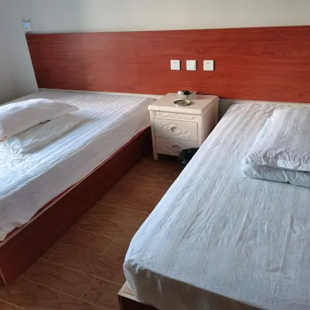 Elder Bear Shopkeeper Hotel