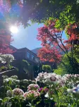 Tiandi Jixiang Garden Hotel