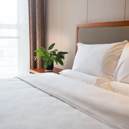 Zijin Hotel