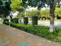 Wugong Mountain Yunling Homestay