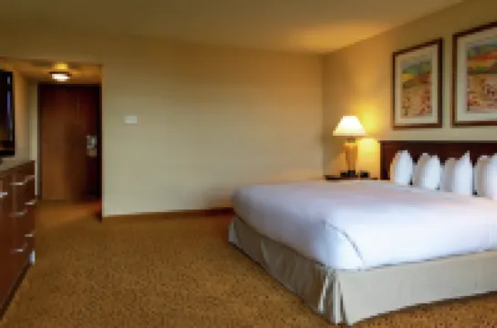 聖何塞希爾頓逸林酒店 聖何塞酒店