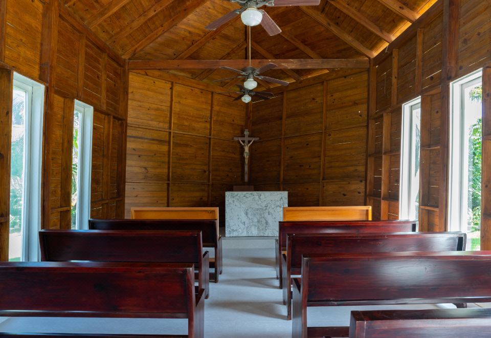 2. 트로피컬 디럭스..