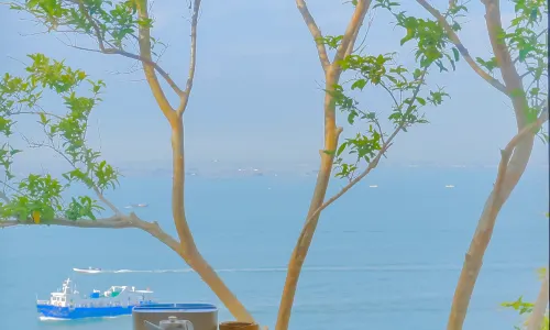Dongshan Chenwai Homestay