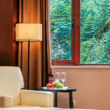 Yadong Pingcuo Kangsang Kangyang Hotel