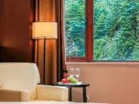 Yadong Pingcuo Kangsang Kangyang Hotel