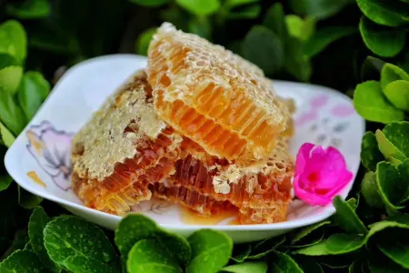 Diqing Shangri-La Haba Snow Mountain Guesthouse Отели рядом с достопримечательностью «Habacun»