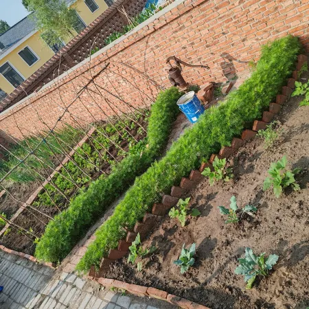 Wulagai Management Area Jiaxing Homestay