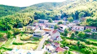 Mountain Wilderness Homestay - ห้องครัว