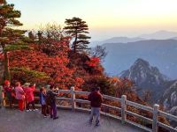 黄山玉屏楼宾馆 - 酒店附近