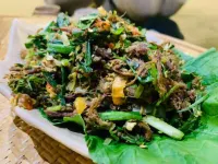 Jingmaishan Shishi Homestay