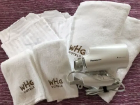 ホテル グレイスリー 浅草 東京のホテル