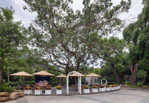 5. 엘.브이.베이..