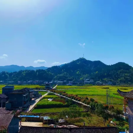 Meet Xilan Karp (Longshan Jabala Scenic Area)