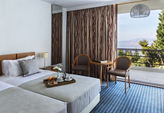 아말리아 호텔 델피 야외 수영장