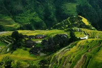 Jiabang Terraces Yingyou Home