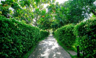 Emerald Garden Retreat