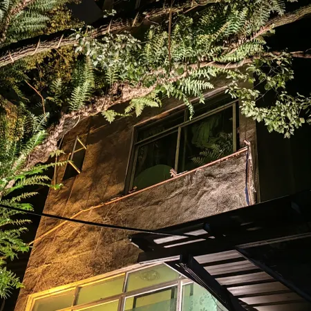 Fairy Tale Tree House Homestay