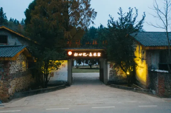 Chuxinji Forest Homestay