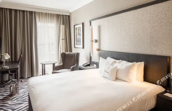 愛丁堡市中心希爾頓逸林酒店