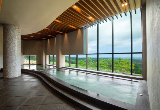 소노펠리체 델피노