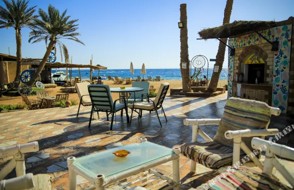 哈比巴海灘旅舍