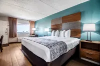 BEACHFRONT PALMS HOTEL