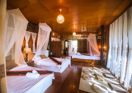 Safari - Pet Friendly