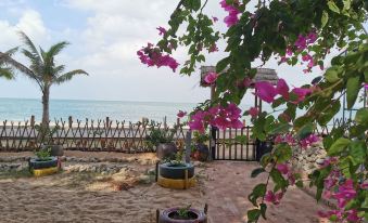 Coral impression Sea View  Hote