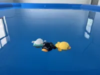 Floral Hotel ·Shanghai Huachen Yuexi hotel (Chongming Island near Xisha Pearl Lake scenic spot)