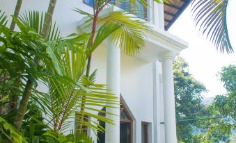 Holistic Villas River