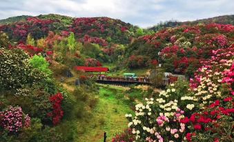 Baili Rhododendron Youranju Inn