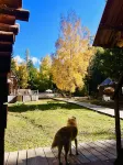 Baihaba Yunxuan Mountain Residence Hotels near Baihaba