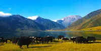 Yeler Lake Star Valley Homestay