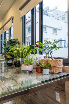 拉拉之家春天公寓 精選 Photos