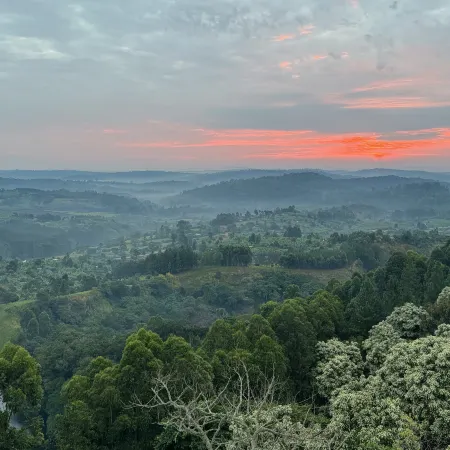 Top of the World Lodges Fort Portal